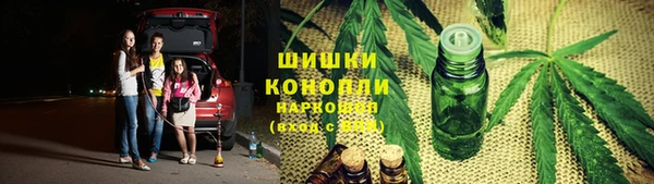 сатива Богданович